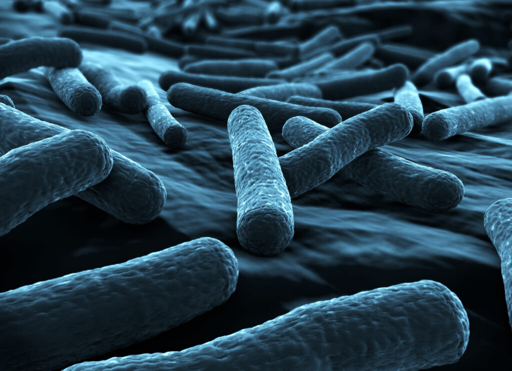 Dossier : Le microbiote respiratoire, kezaco ?