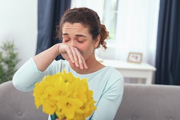 Les plantes d’intérieur peuvent favoriser les allergies. 